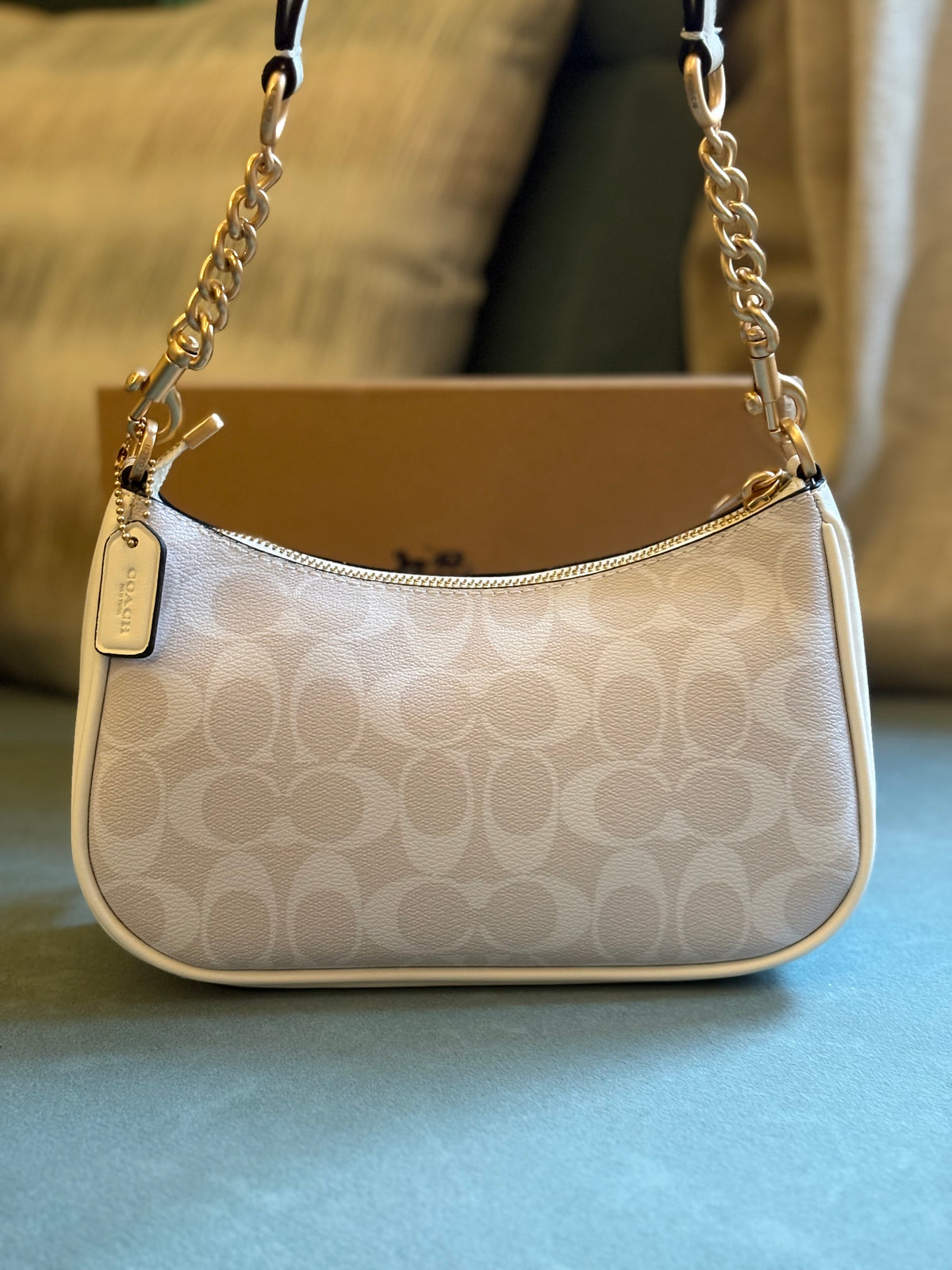 Snow white Teri Bag